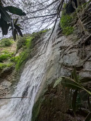 🗻 בצילם של ענקים | סלע עכברה ונחל עמוד 🌊