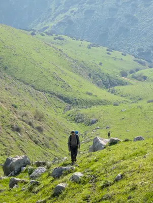 🌳 הגלבוע הירוק | נחל בזק והר אבנר 🏞️