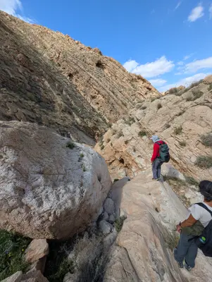 🏞️ חוקרים את בקעת הירדן | נחל דליה, ואדי אל-בקר 🍀