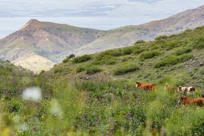 🌄 מנחל מיצר למצפה אופיר | דרך נחל פיק וקרן עין גב 🌊