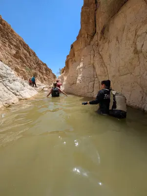 🏜️ נחל משמר | פלאות המדבר, למתחילים 🌅
