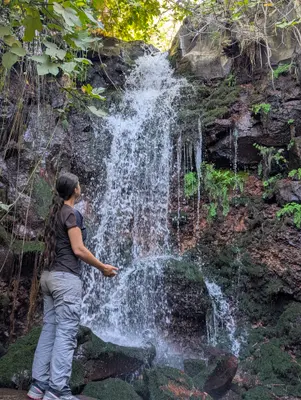 🌲 הגולן הפראי | נחל שוח 🏞️