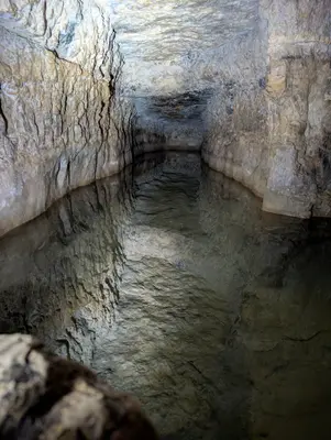 💧 מעורב ירושלמי | סבב מעיינות נבחרים 🌳