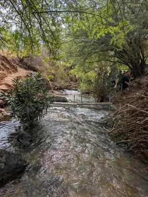 🗳️ בדרך לקלפי קופצים לטבילה בנחל 💦